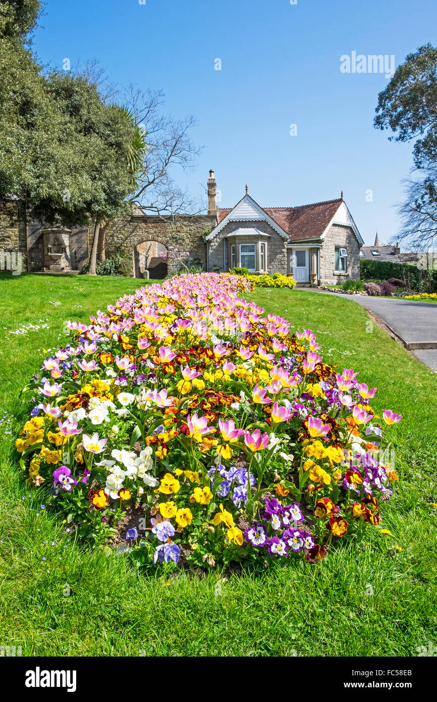 Spring flower bedding hires stock photography and images Alamy