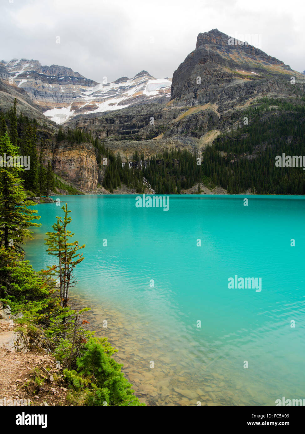 Beautiful, remote Lake O'Hara, with Seven Veils Falls in the trees and