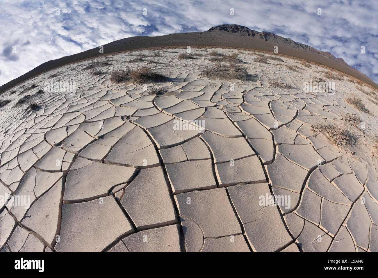 Cracked clay crust is desert Stock Photo Alamy
