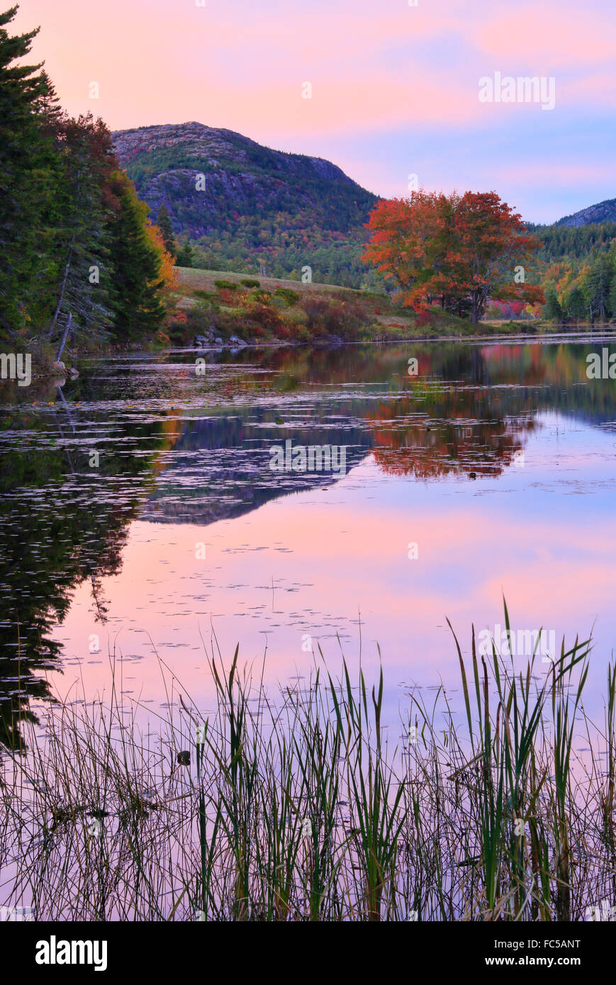 Little Long Pond, Little Long Pond Loop Carriage Road, Acadia National