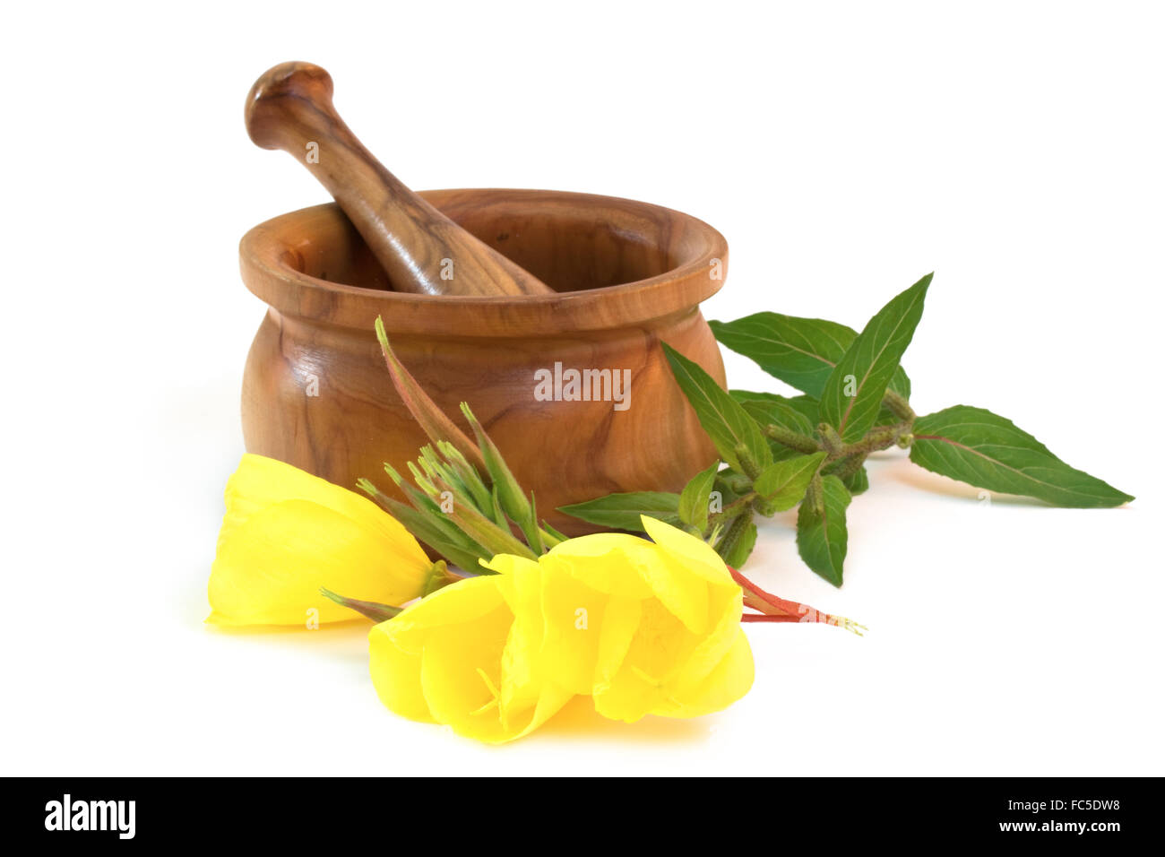 Evening primrose with wooden mortar Stock Photo