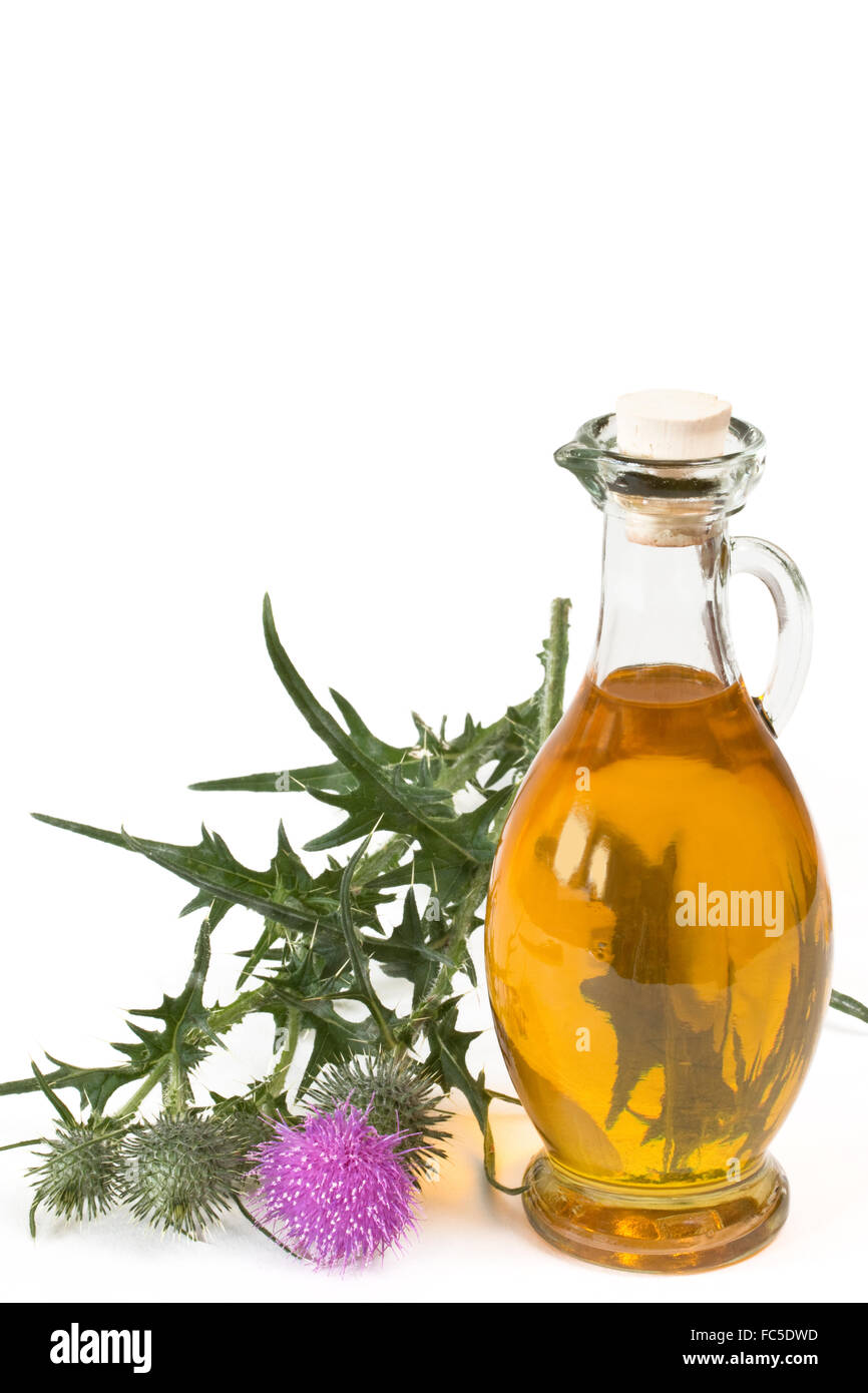 Oil of milk thistle Stock Photo Alamy
