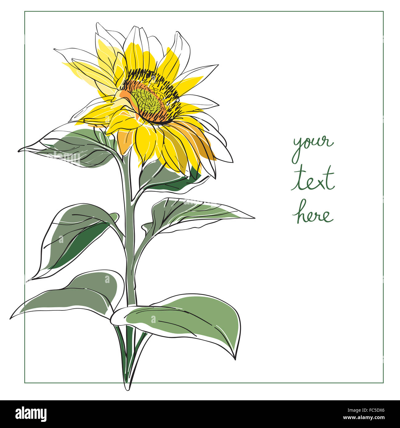 sunflower minimal card Stock Photo - Alamy