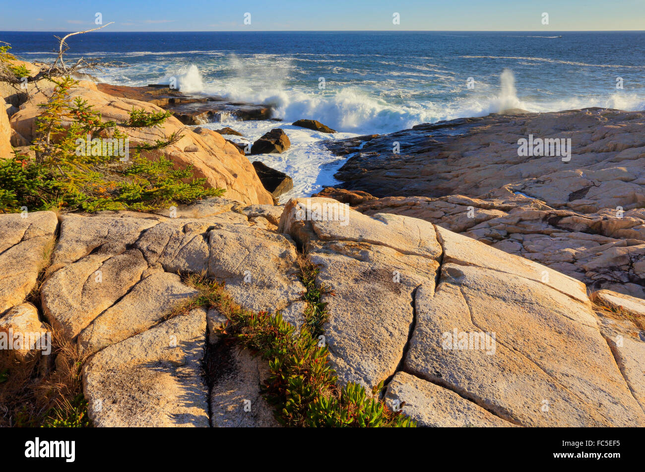 Schoodic Point, Schoodic Peninsula, Acadia National Park, Maine, USA