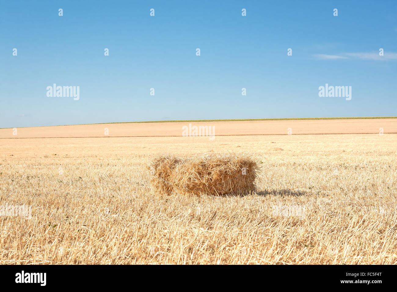 Bale of straw Stock Photo Alamy