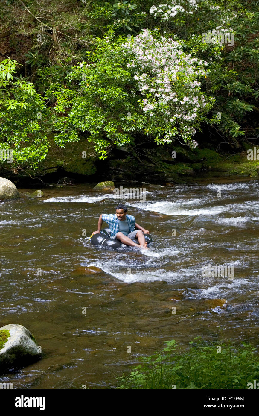 Tubing on Deep Creek in the Great Smoky Mountains, National Park near Bryson City, North