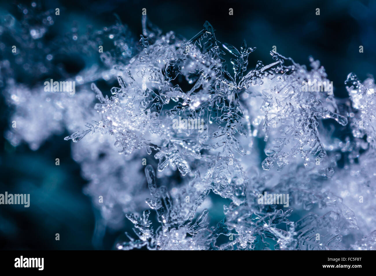 Closeup of snowflakes on a blue background Stock Photo - Alamy