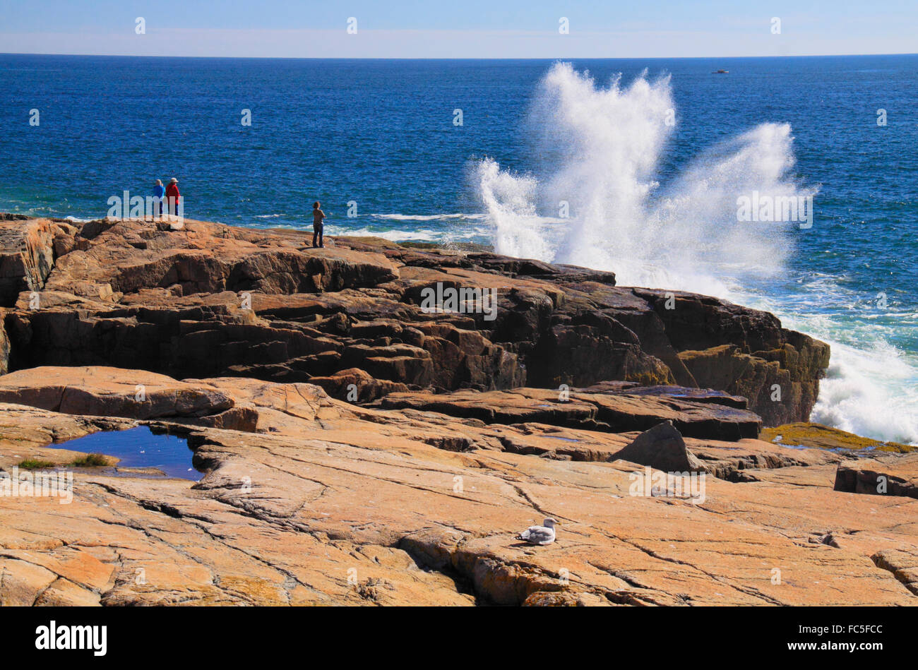 Schoodic Point, Schoodic Peninsula, Acadia National Park, Maine, USA