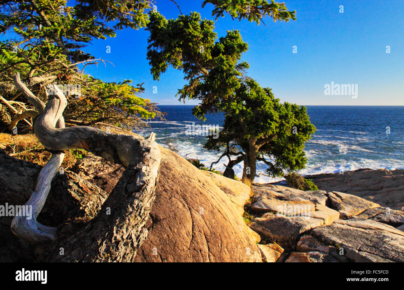 Schoodic Point, Schoodic Peninsula, Acadia National Park, Maine, USA