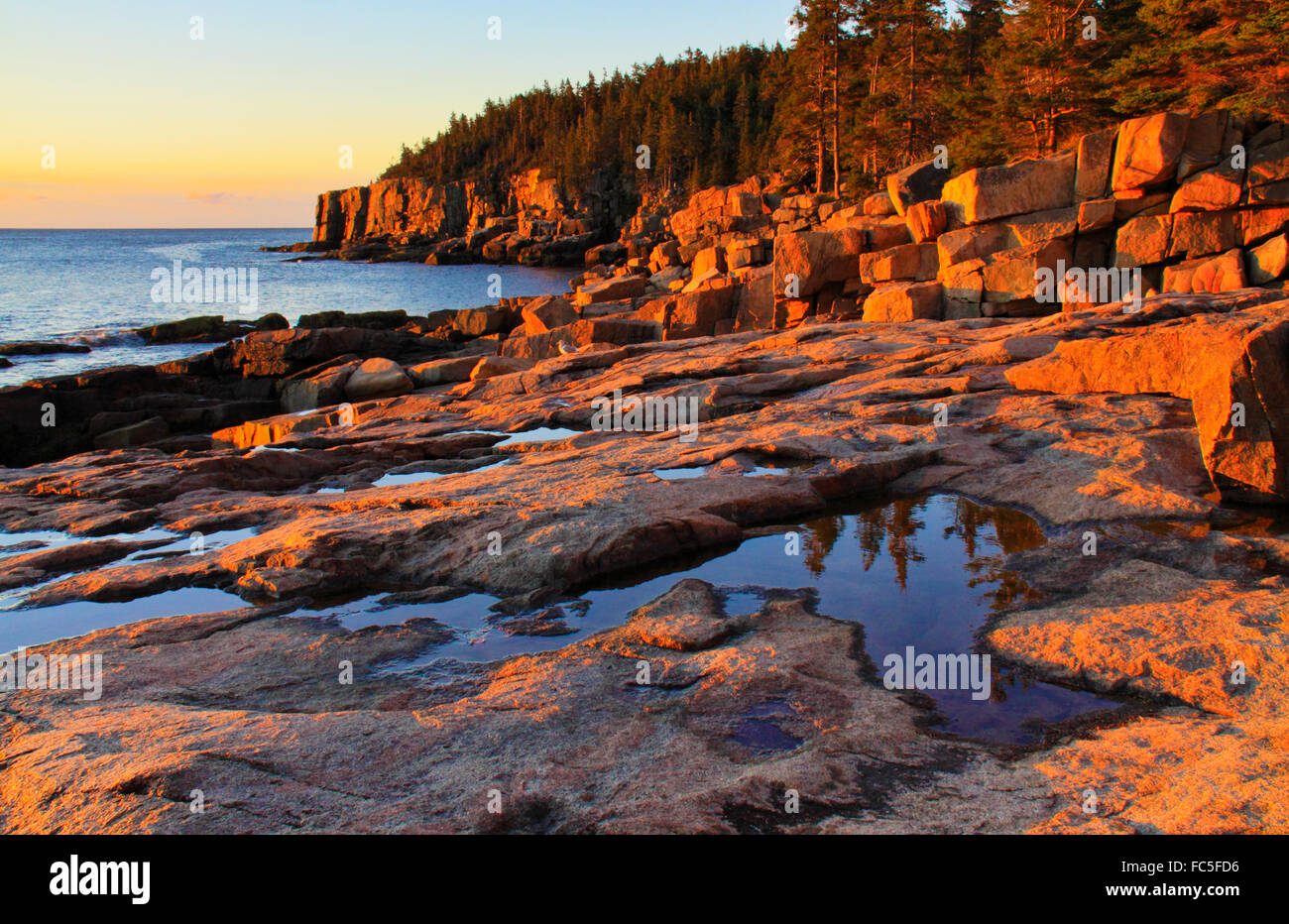 Otter Cliff at Sunrise, The Ocean Trail, Acadia National Park, Maine, USA Stock Photo