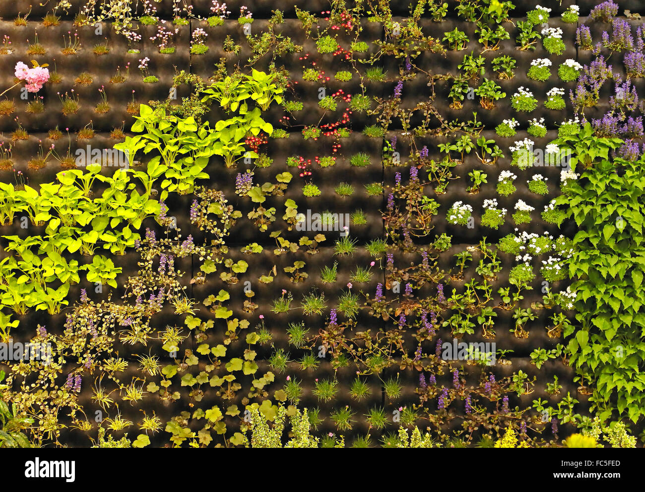 Vertical planting plants wall hi-res stock photography and images - Alamy