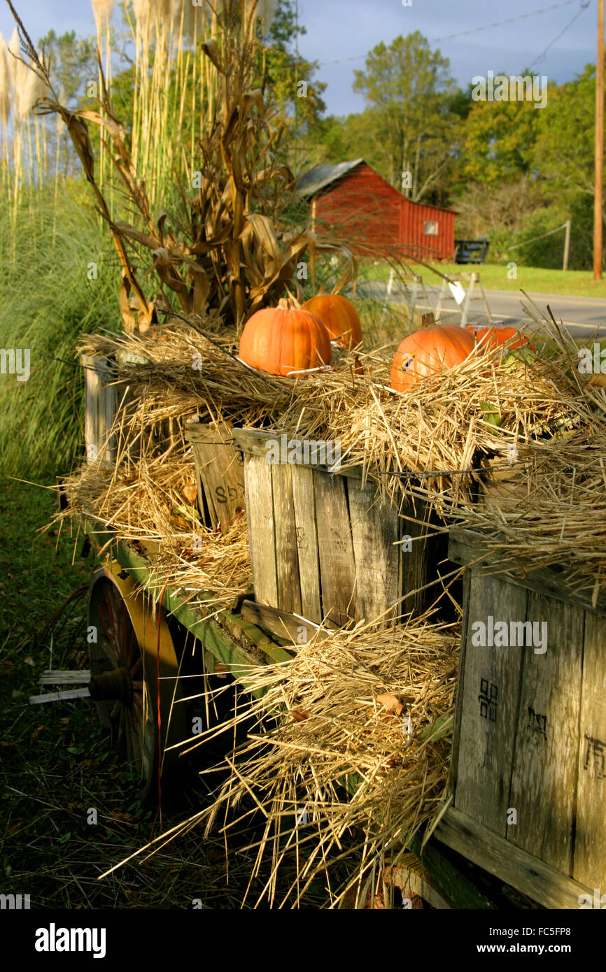A hay wagon with pumpkins in the fall in North Georgia, USA Stock Photo ...