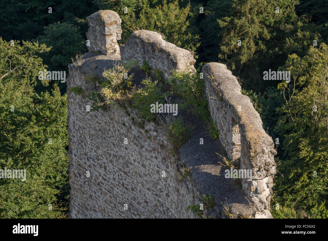 Fragments of castle Schaumburg - Austria Stock Photo