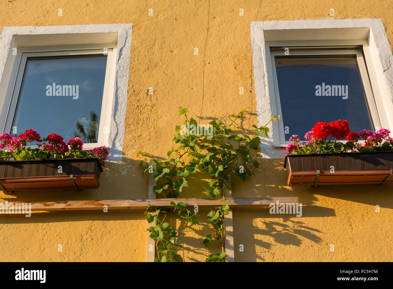 Window with geraniums in flower boxes Stock Photo