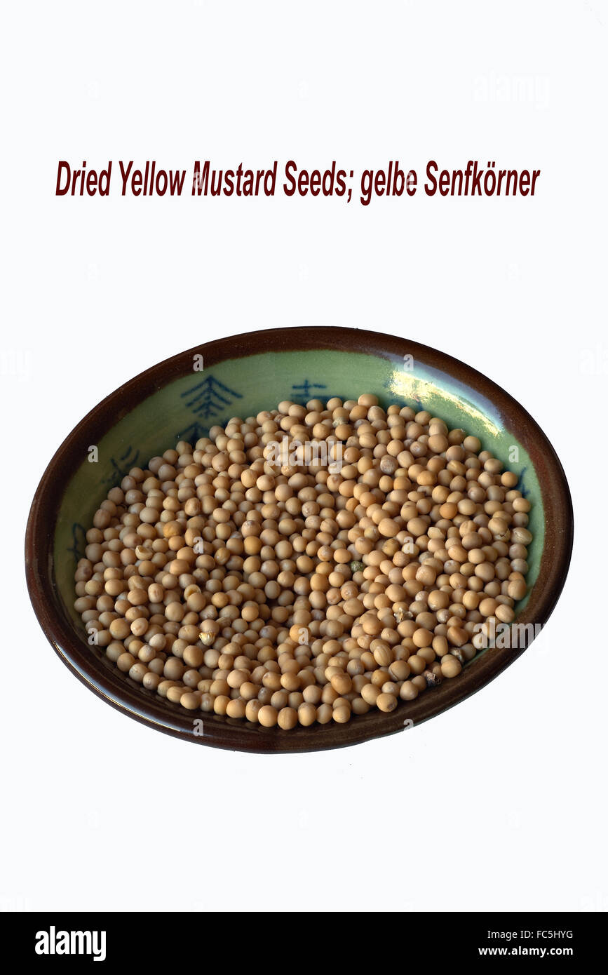 Yellow Mustard Seeds, Cutout Stock Photo Alamy