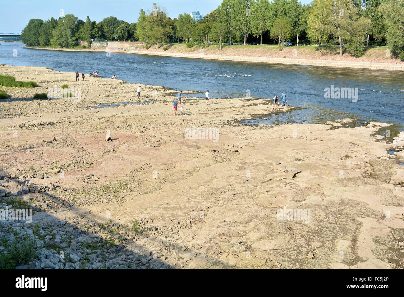 dry riverbed of the Elbe near Magdeburg Stock Photo