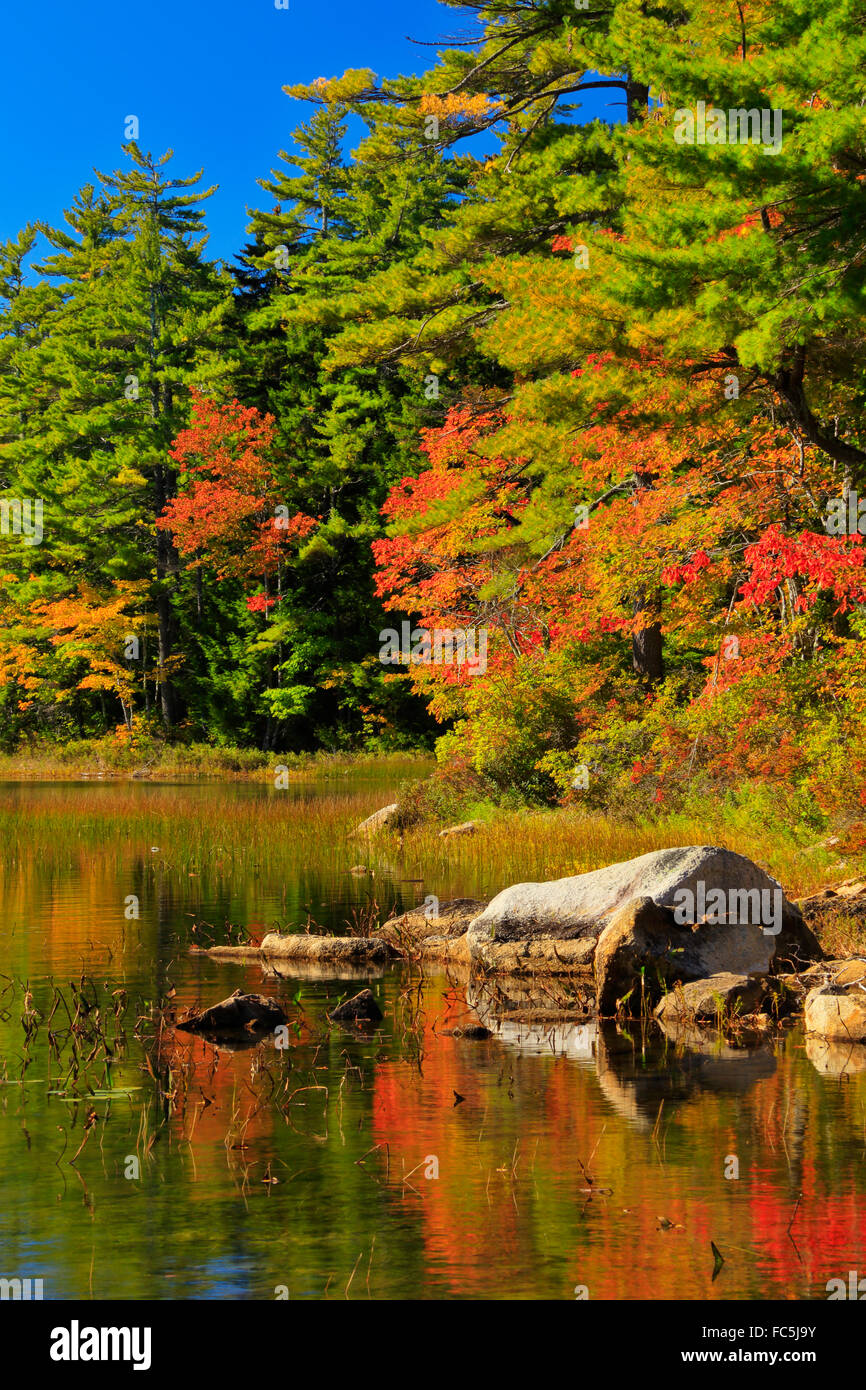 Long Pond, Maine Public Reserve Land, Cherryfield, Maine, USA Stock Photo
