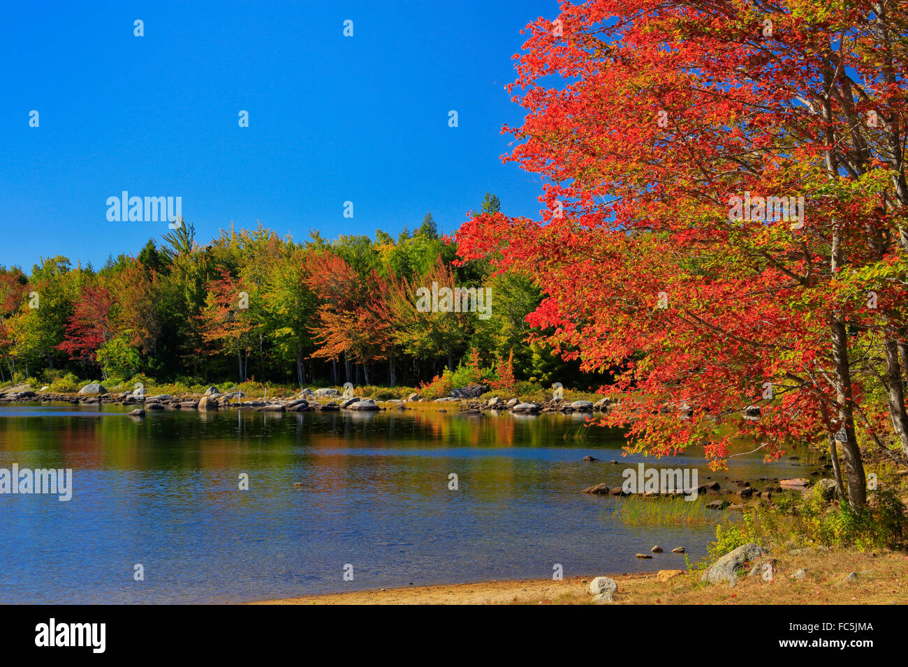 Tunk Lake, Maine Public Reserve Land, Cherryfield, Maine, USA Stock