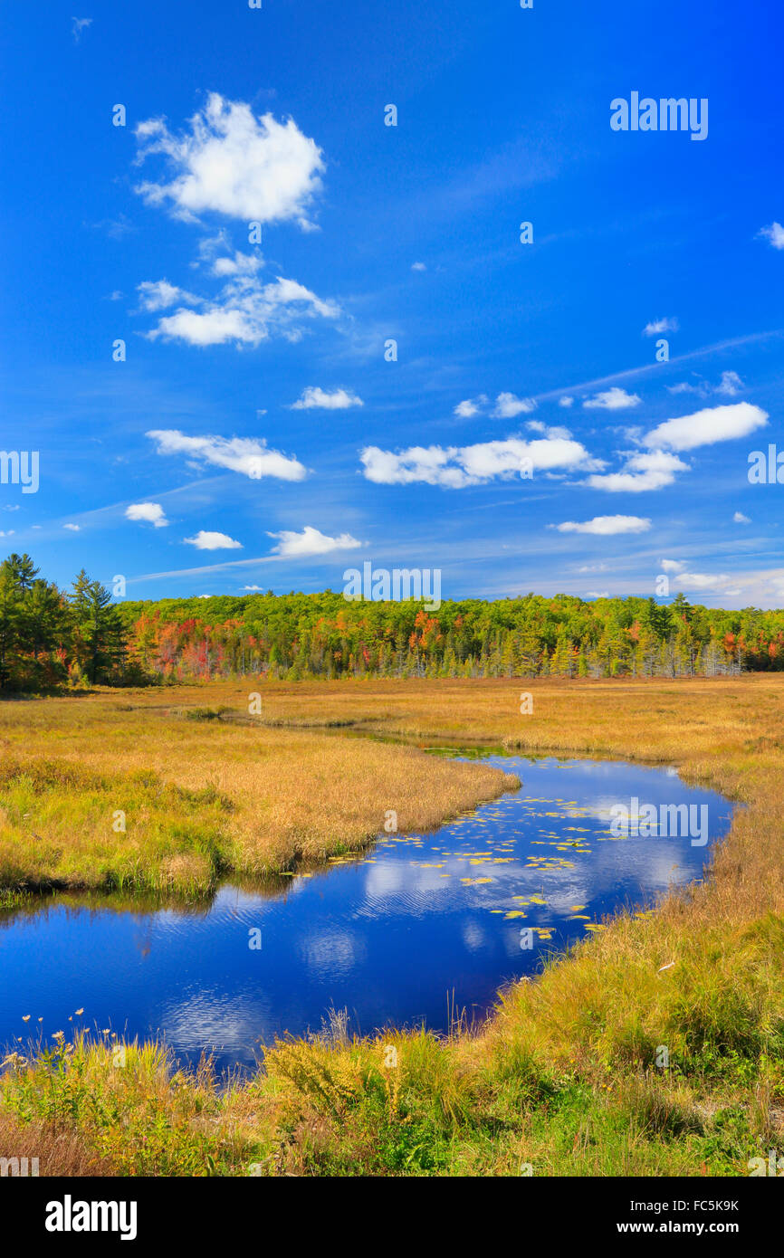 Maine marsh hires stock photography and images Alamy