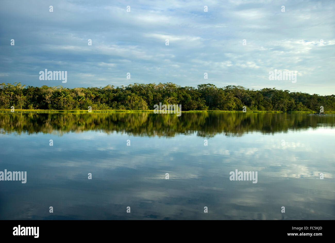 Reflections on the amazon River in Ecuador Stock Photo