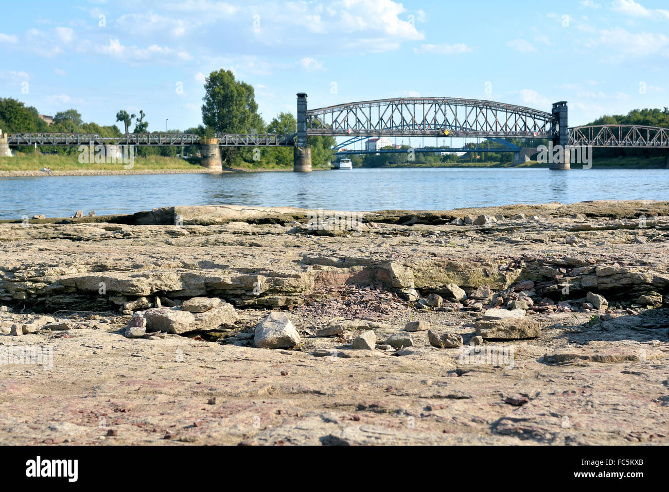 dry riverbed of the Elbe near Magdeburg Stock Photo