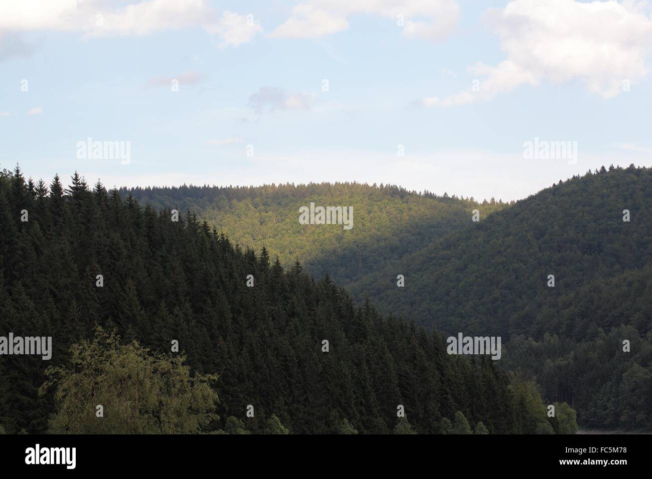 Thuringian Forest Stock Photo