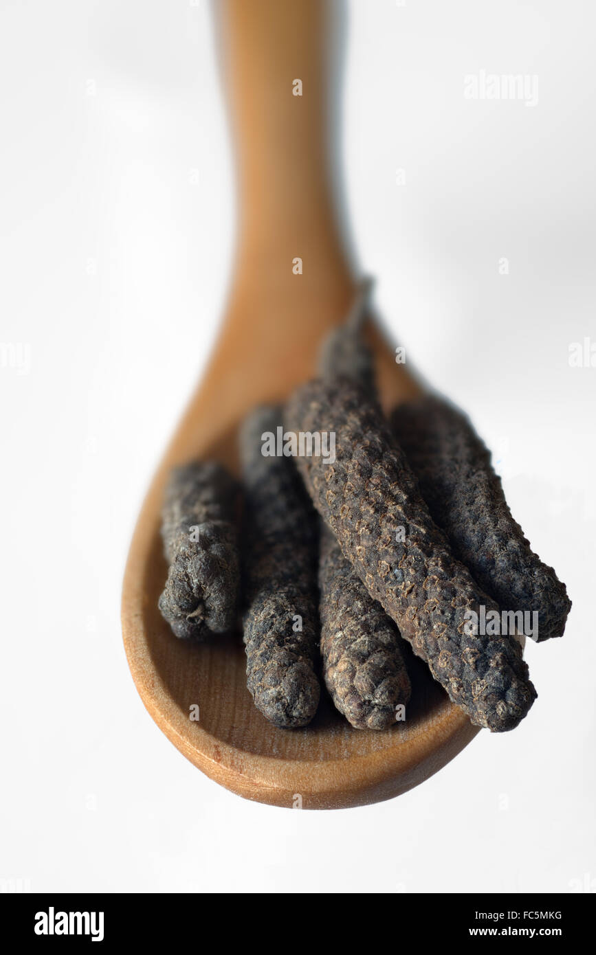 Long Pepper, Piper longum, Dried Fruits Stock Photo