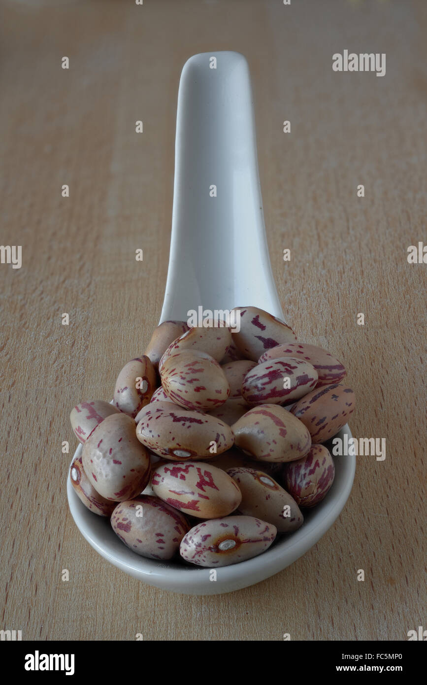 Rosecoco Beans on Porcelain Spoon Stock Photo