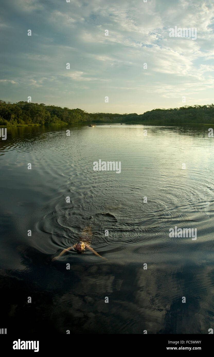 Swimmer in the Amazon River in Ecuador Stock Photo