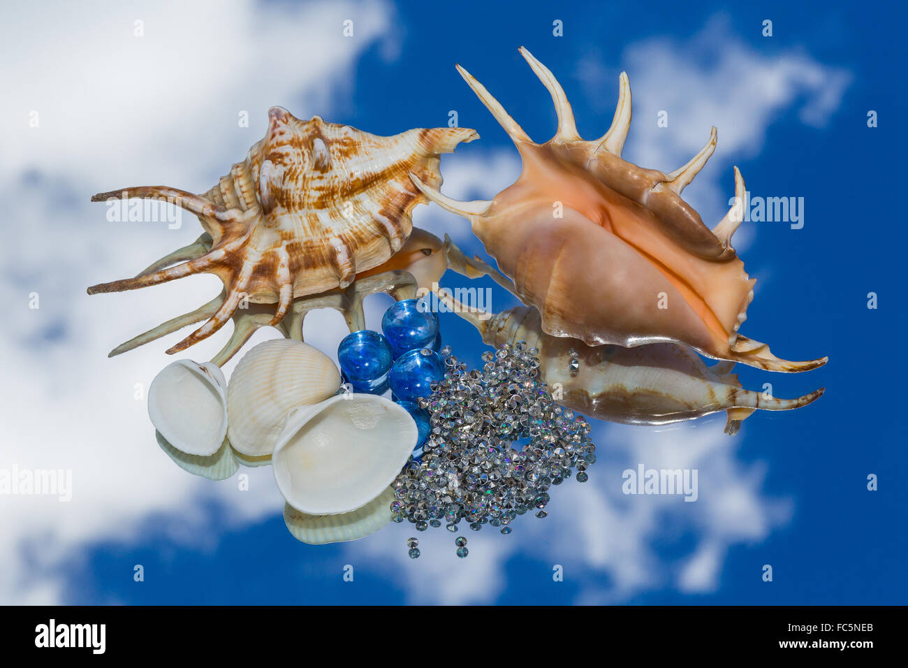 sea shells, decorative glass Stock Photo Alamy