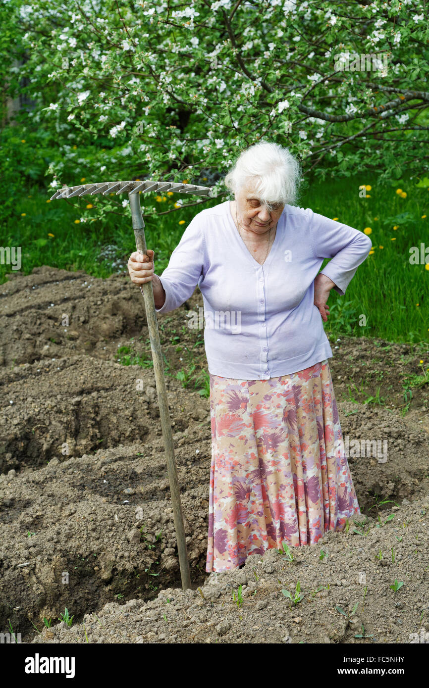 The old woman works in a blossoming garden Stock Photo - Alamy