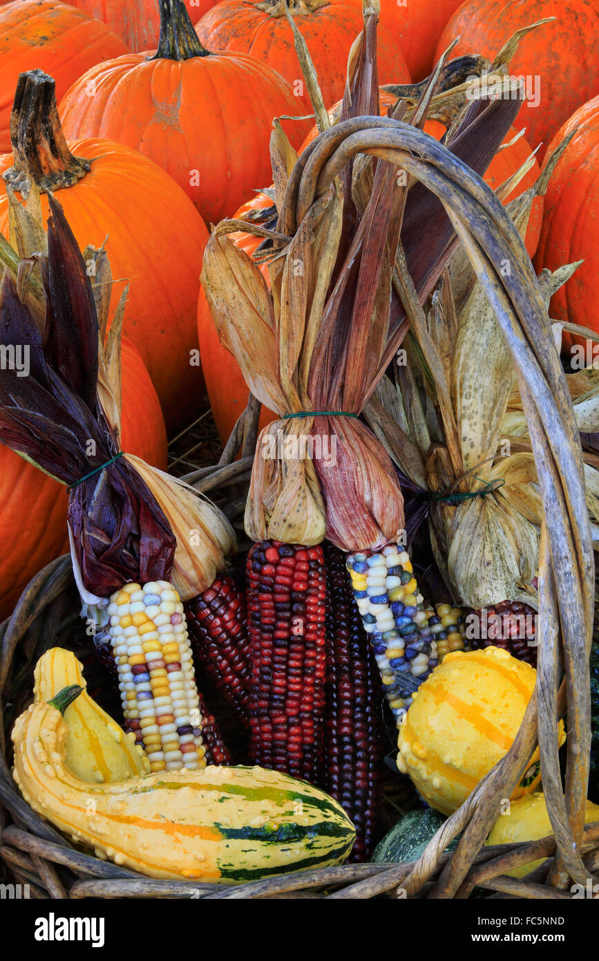 Roadside farm produce stand hi-res stock photography and images - Alamy