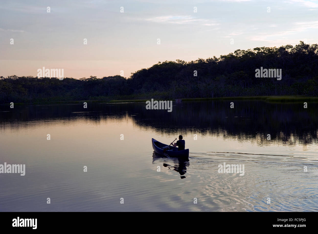 Person rowing a boat in the Amazon River in Ecuador Stock Photo