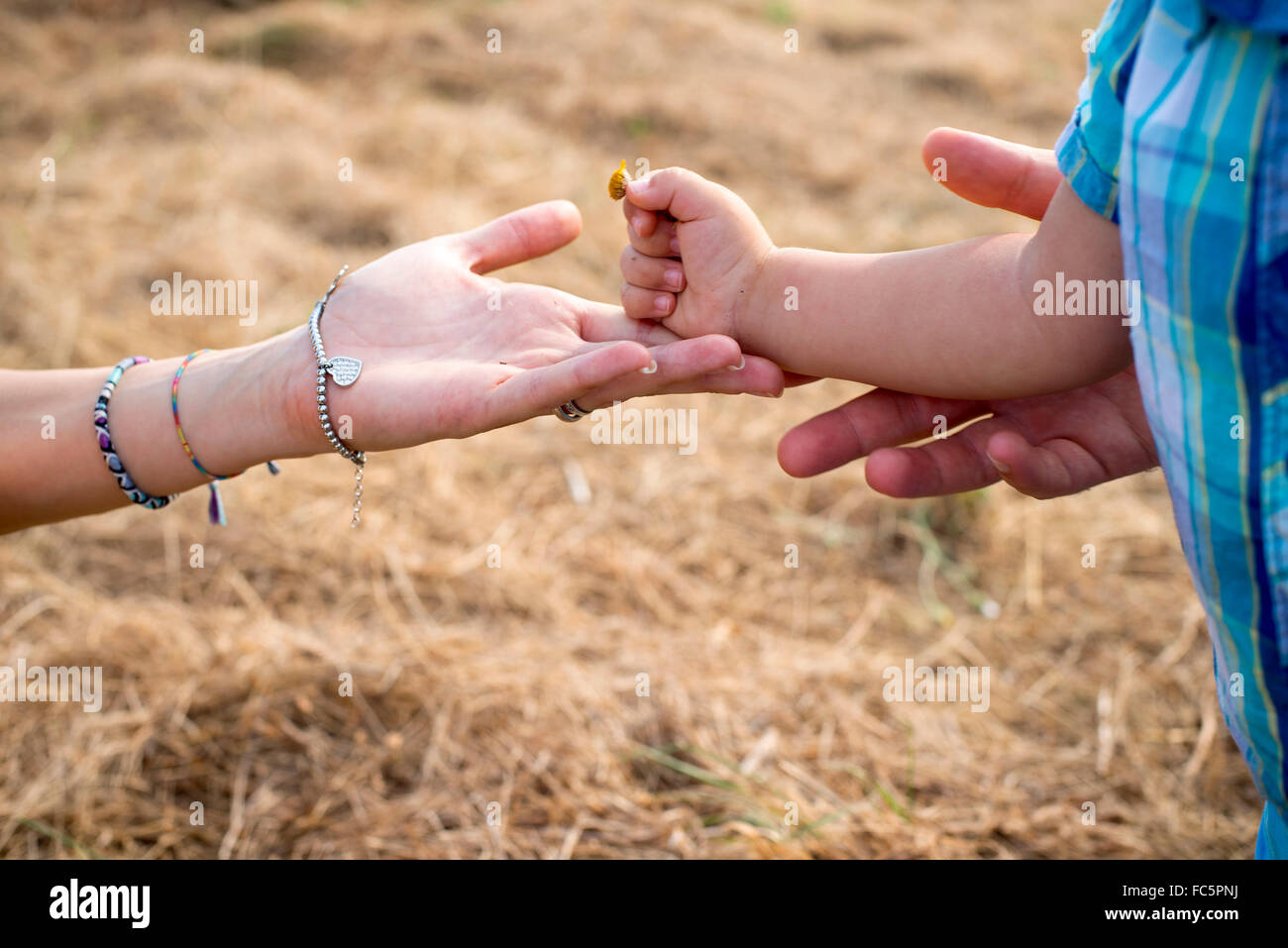 Parent Reaching For Child's Hand in Field Stock Photo