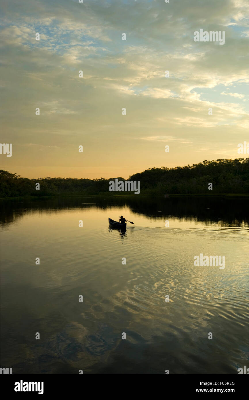 Person rowing a boat in the Amazon River in Ecuador Stock Photo