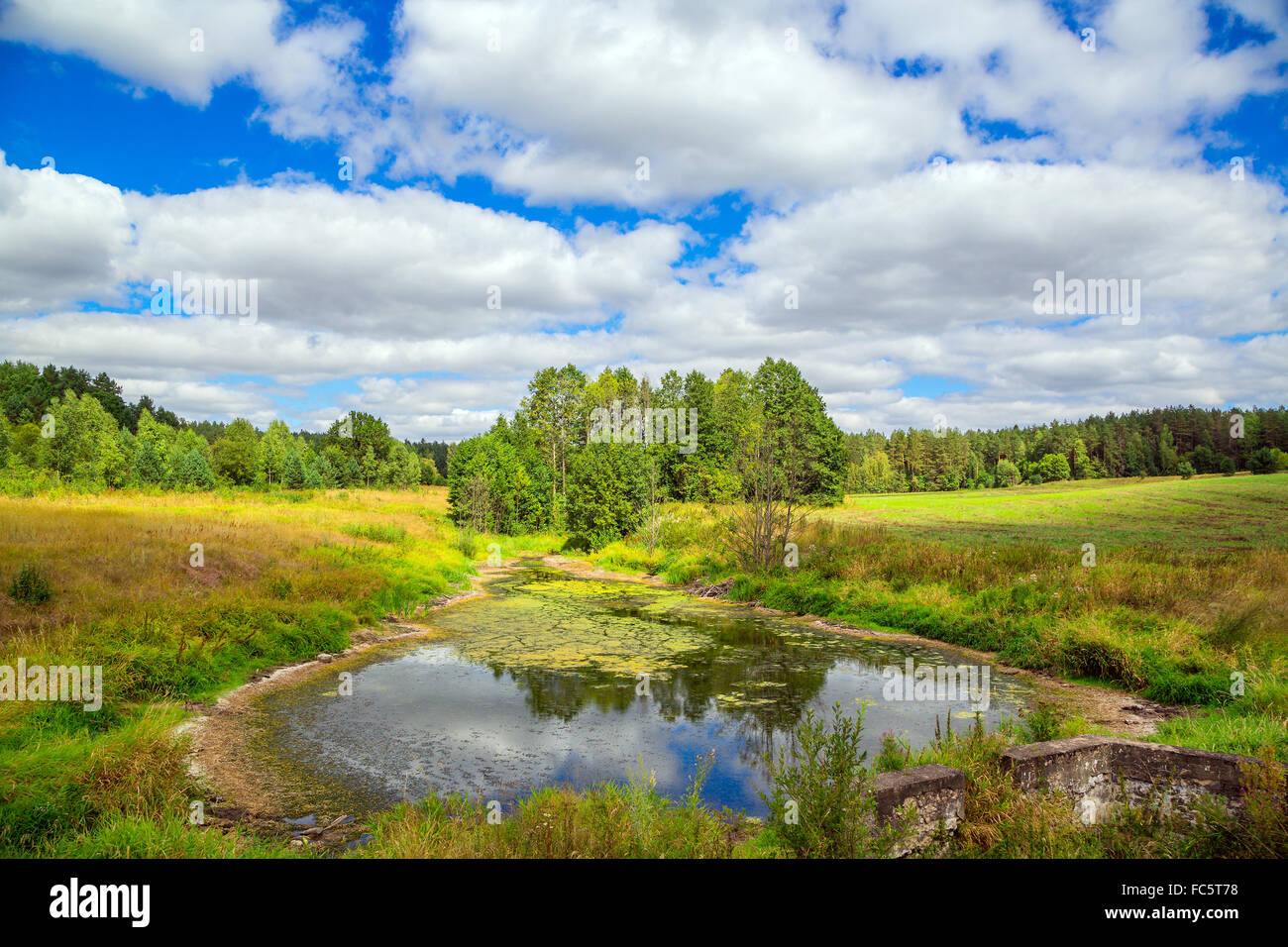 landscape, lake and trees Stock Photo - Alamy