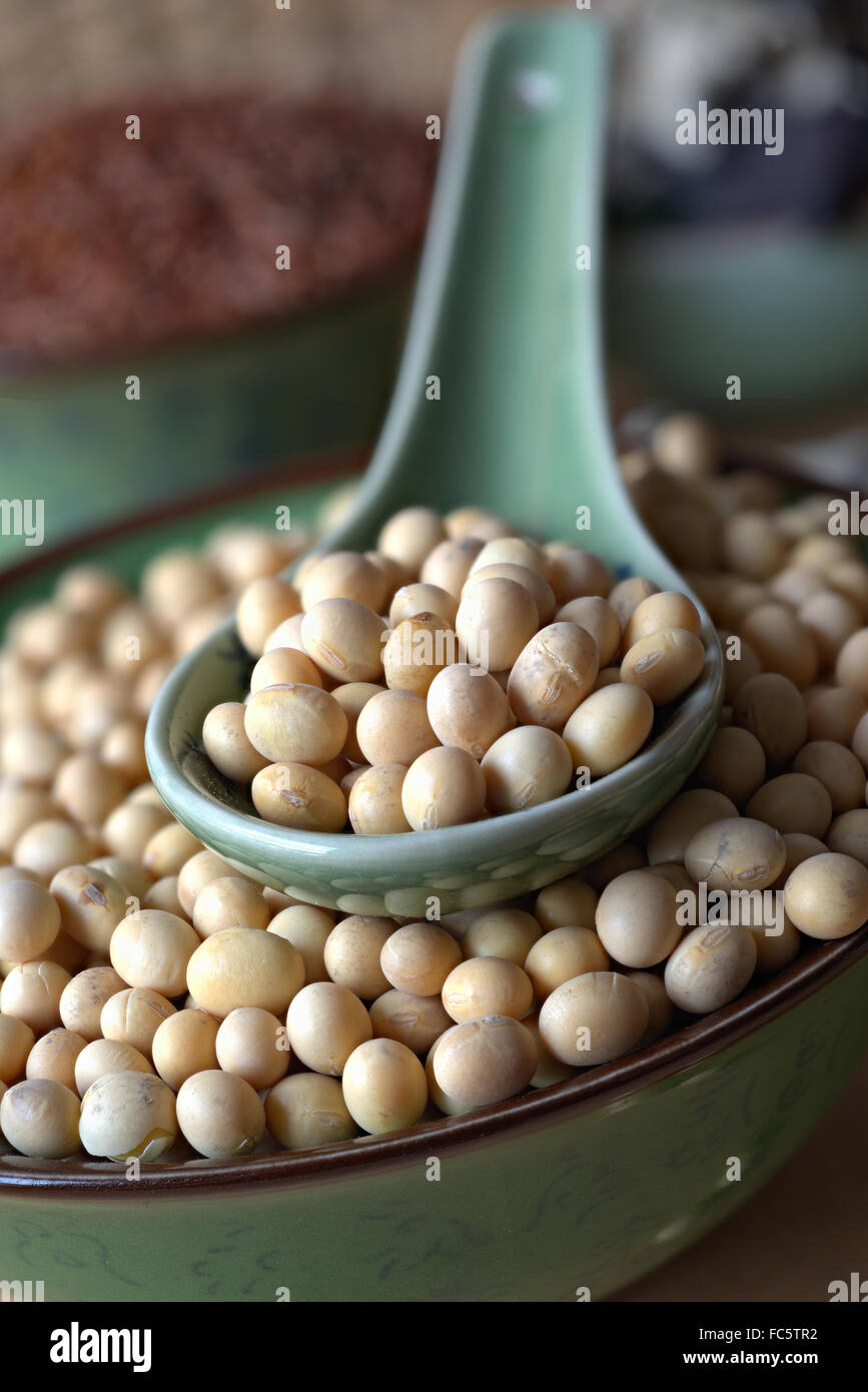 Soja Beans Stock Photo