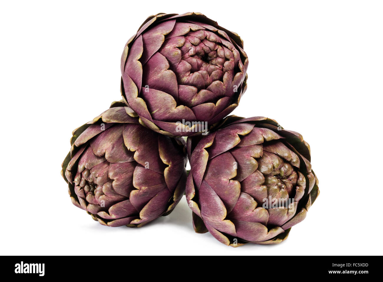 Artichokes over white background Stock Photo Alamy