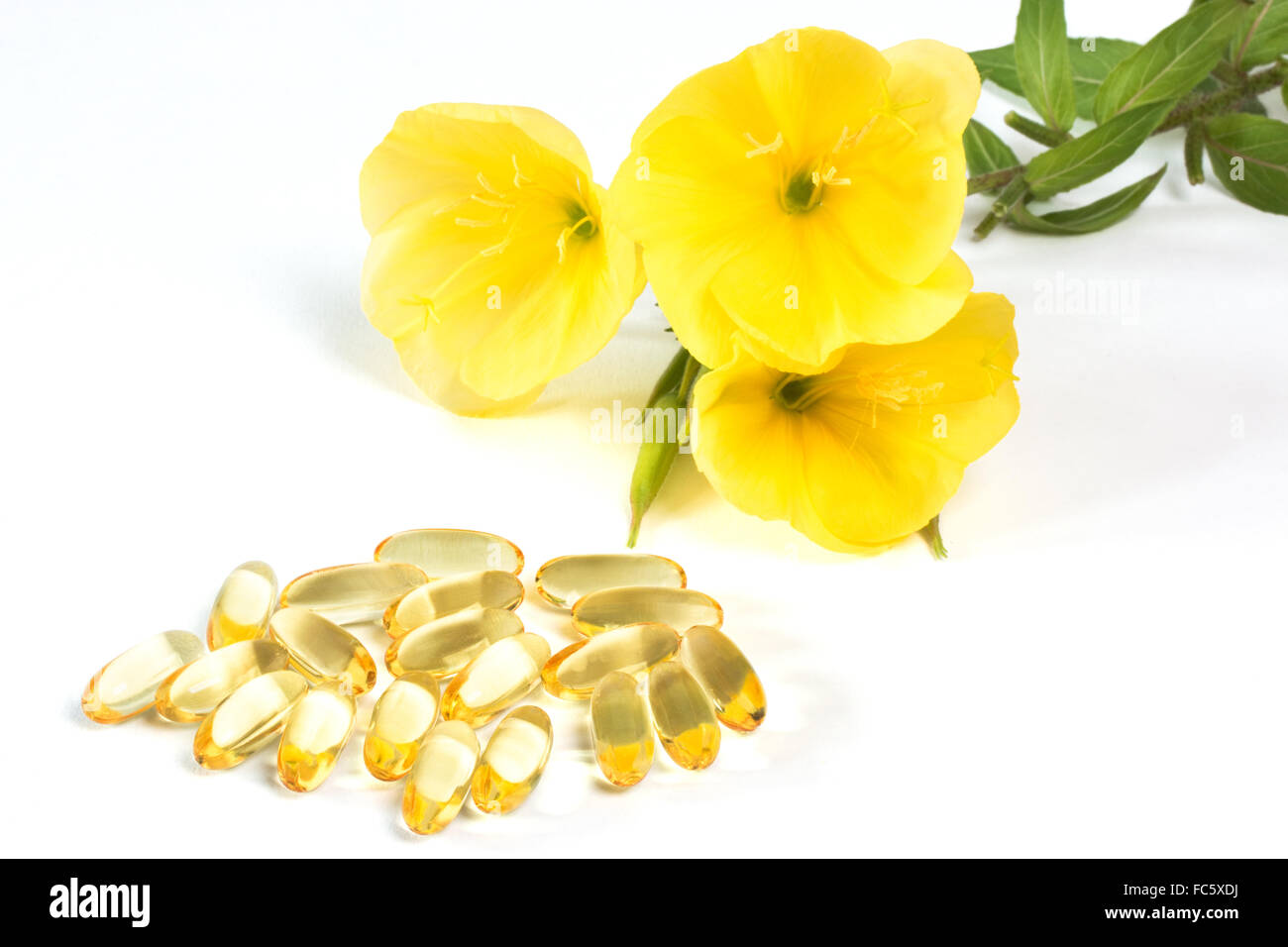 Evening primroses with gelatin capsules Stock Photo