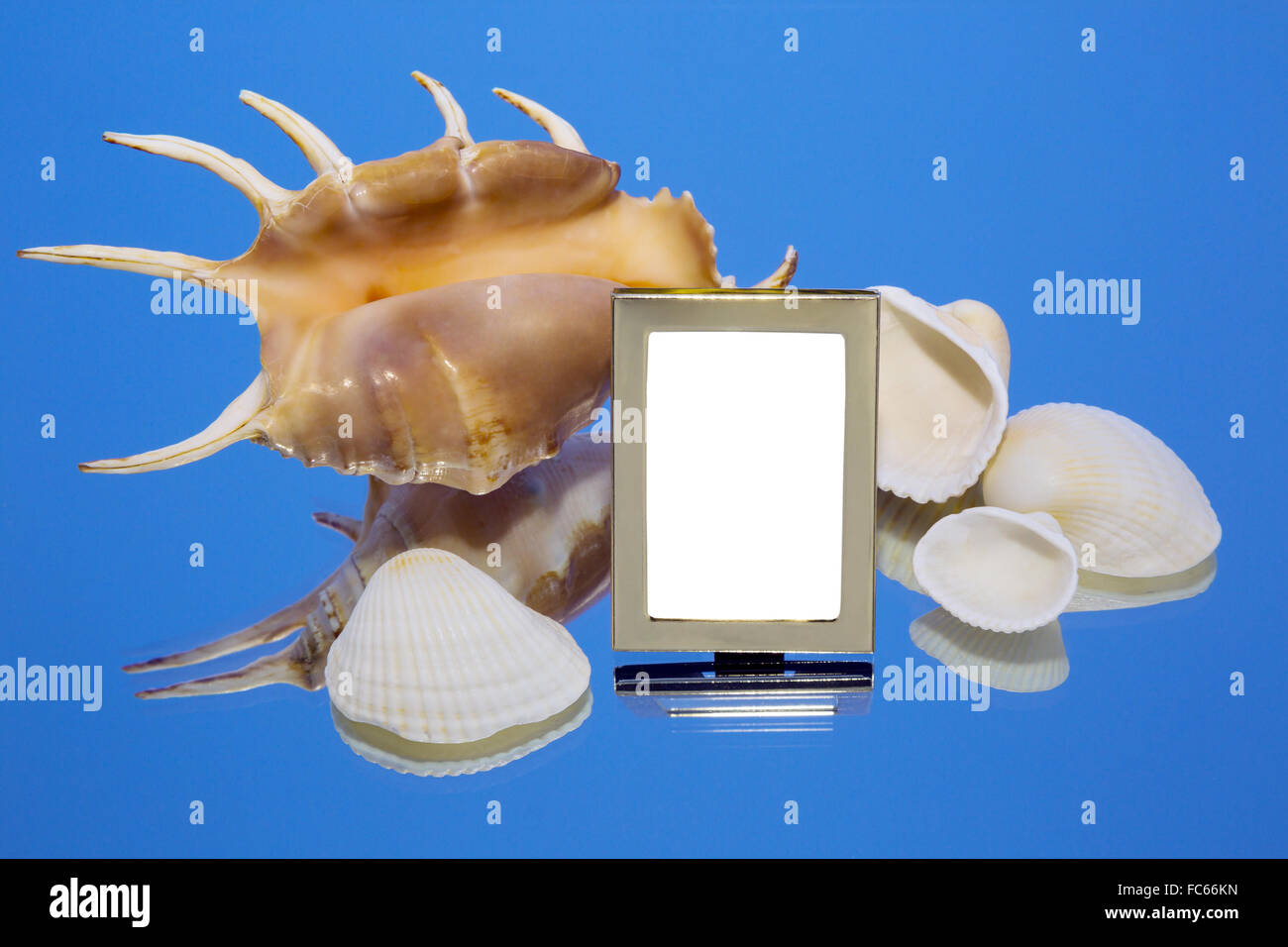 sea shells, mirror, photo frame Stock Photo