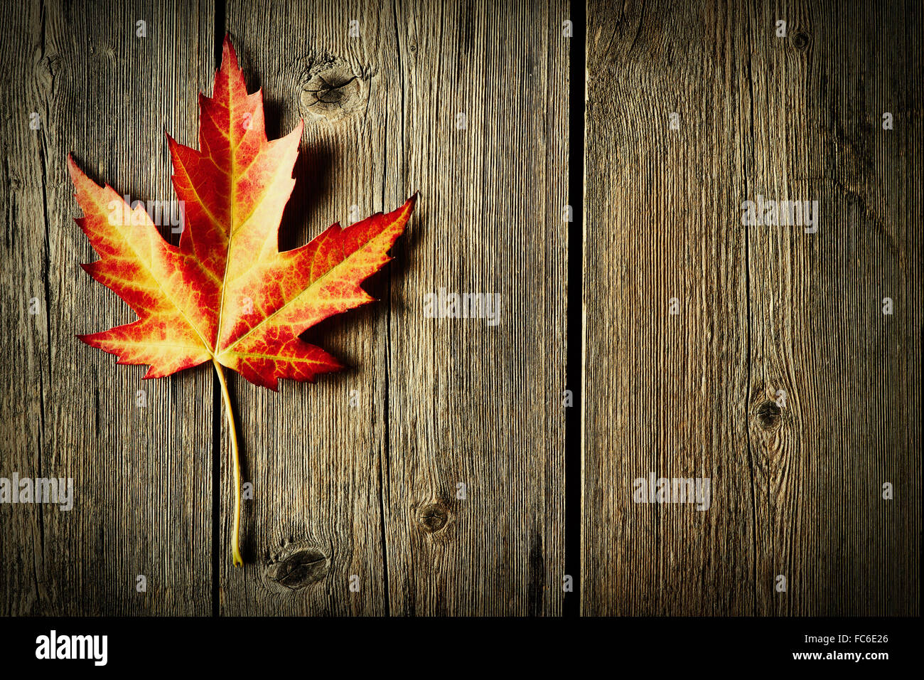 Autumn maple leaf over wooden background Stock Photo - Alamy