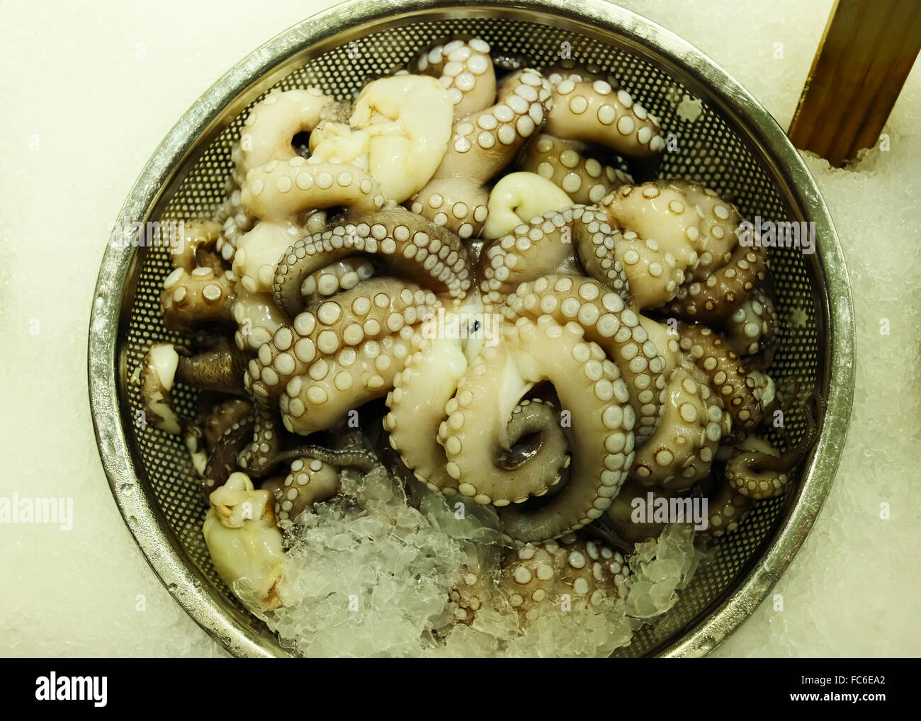Octopus on Ice Stock Photo Alamy