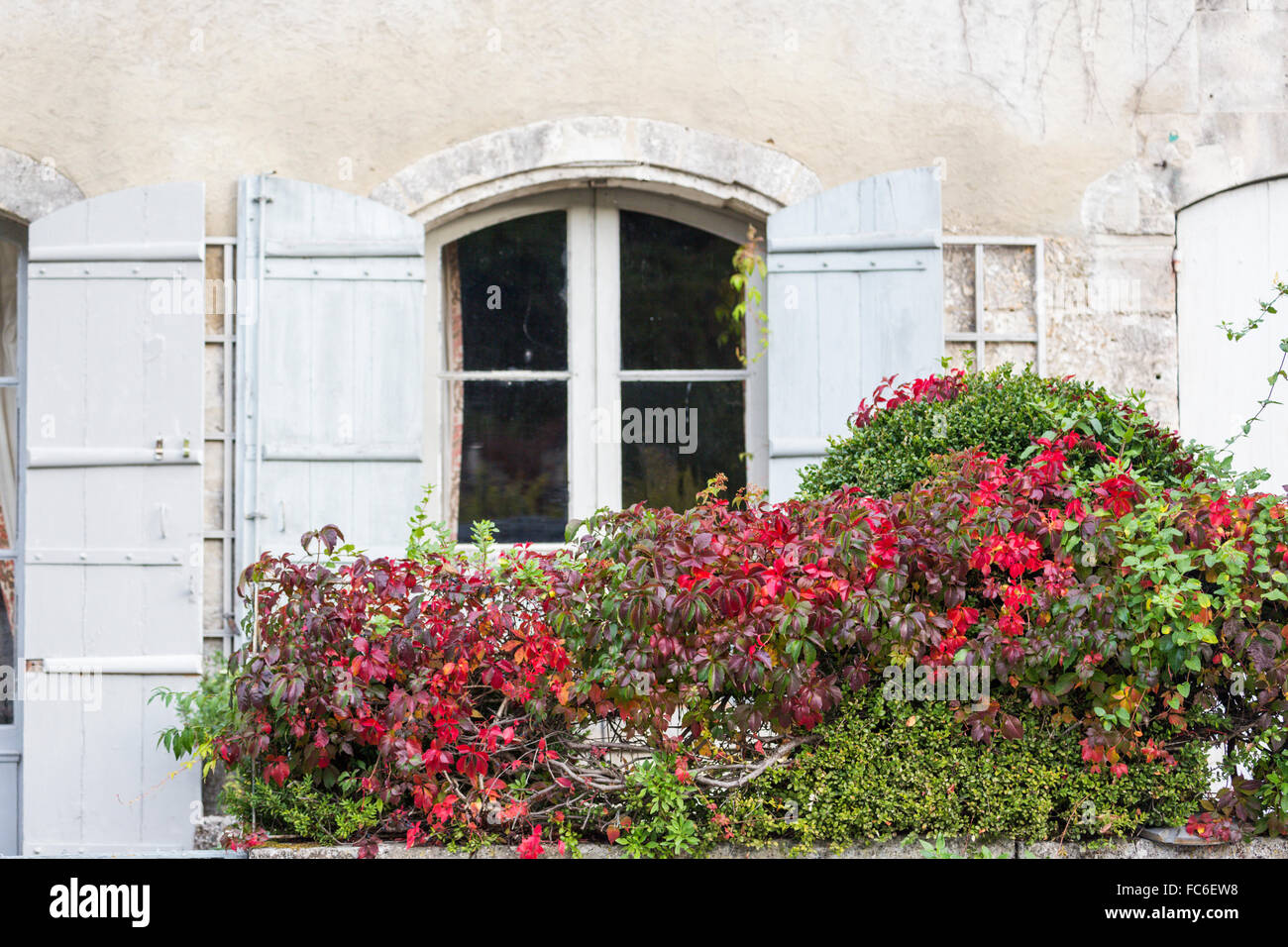 Ivy-covered house, Brantome, Loire Valley, France Stock Photo