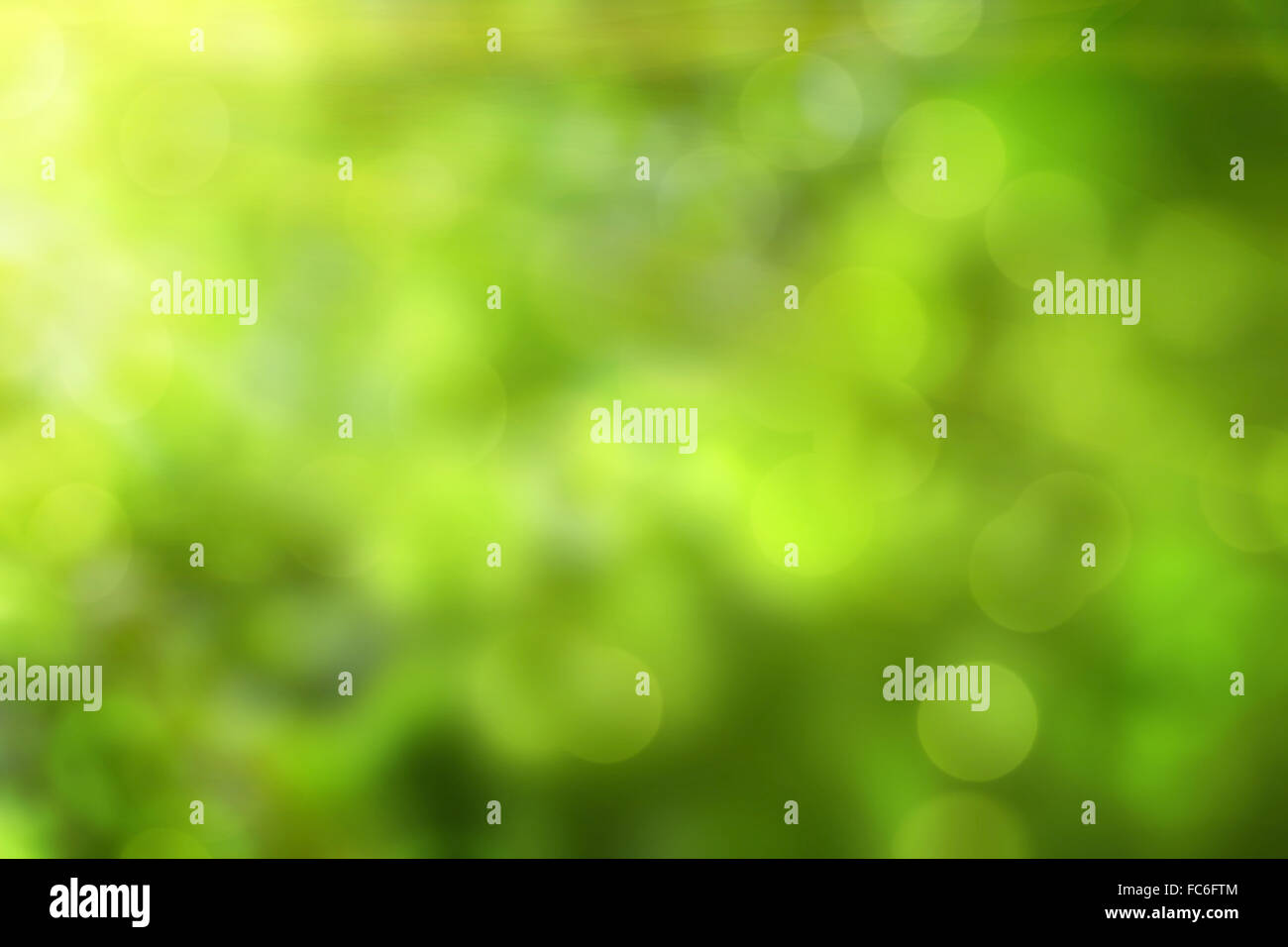 abstract green background with bokeh Stock Photo - Alamy