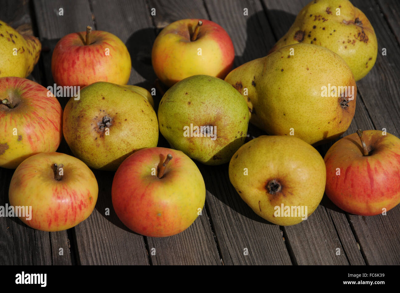 Can You Put Apples And Pears Together at William Morrell blog