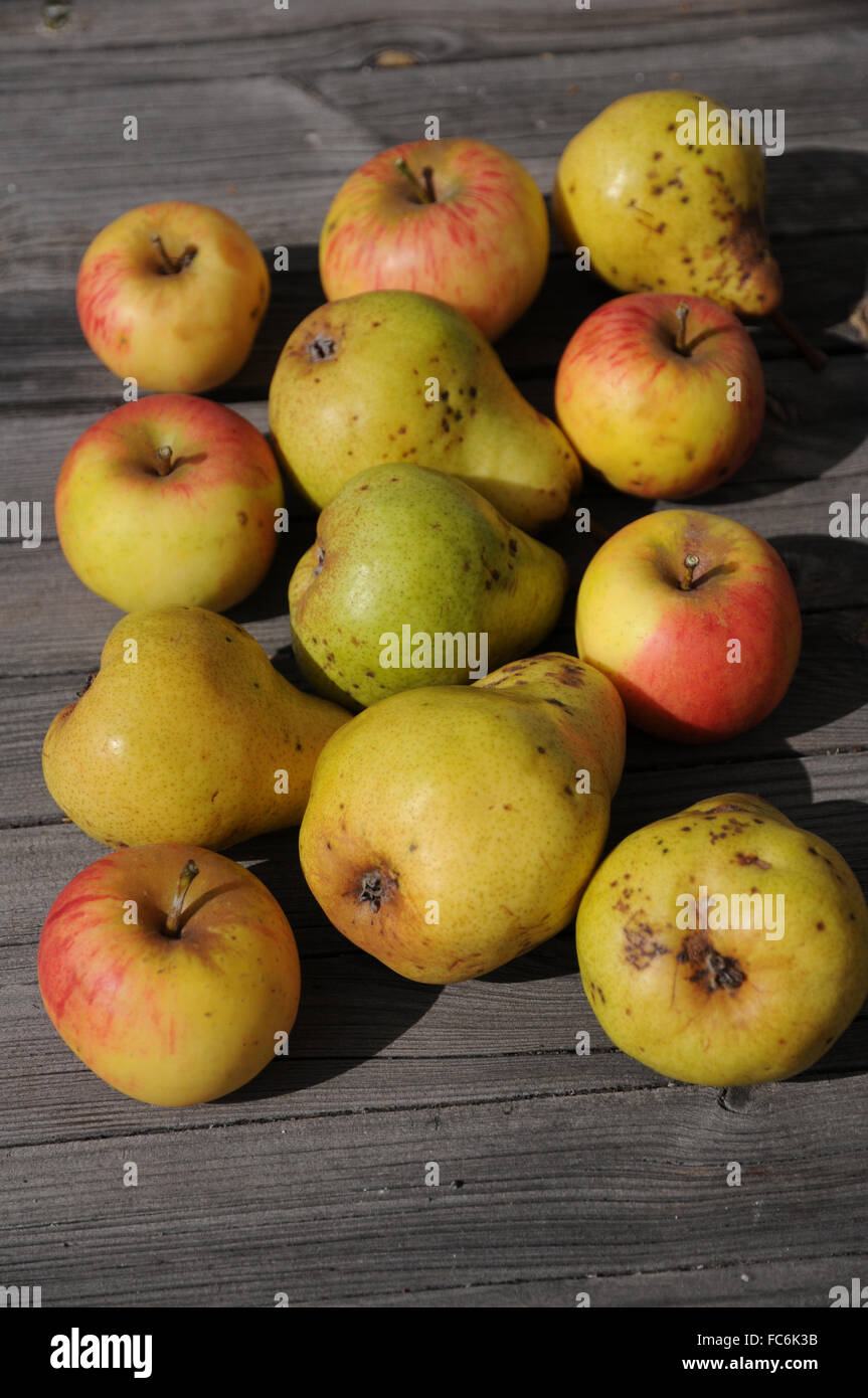 Apples and pears Stock Photo Alamy