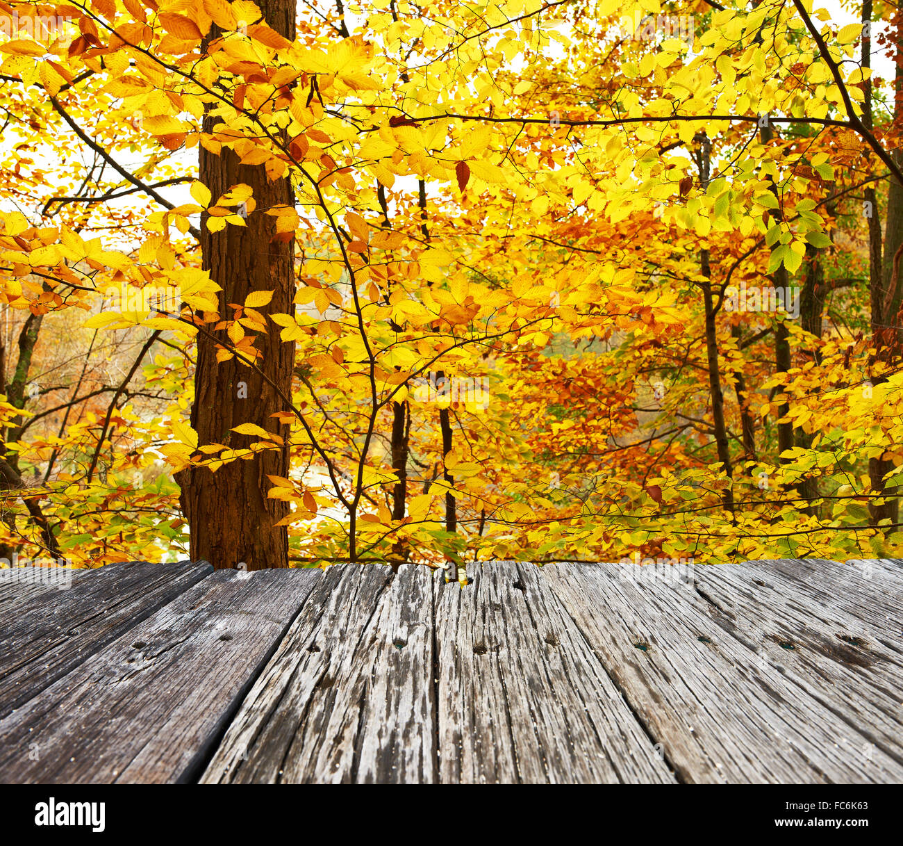 Autumn yellow leaves background Stock Photo - Alamy