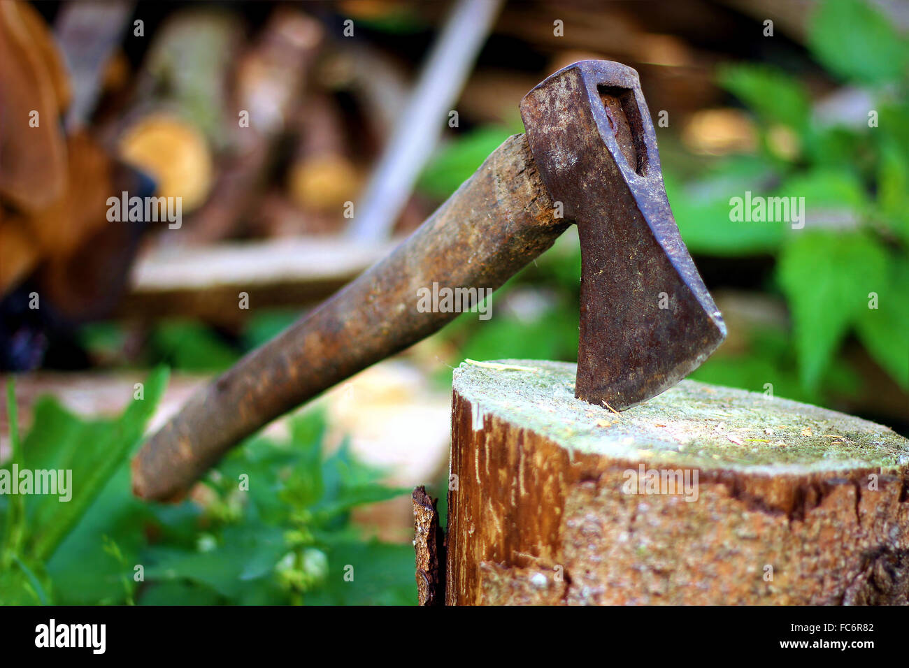 Old ax stuck in a tree stump Stock Photo