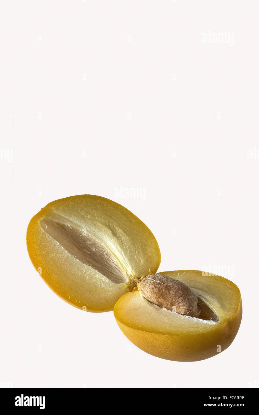 A Date, Fruit Opened and Halved Stock Photo