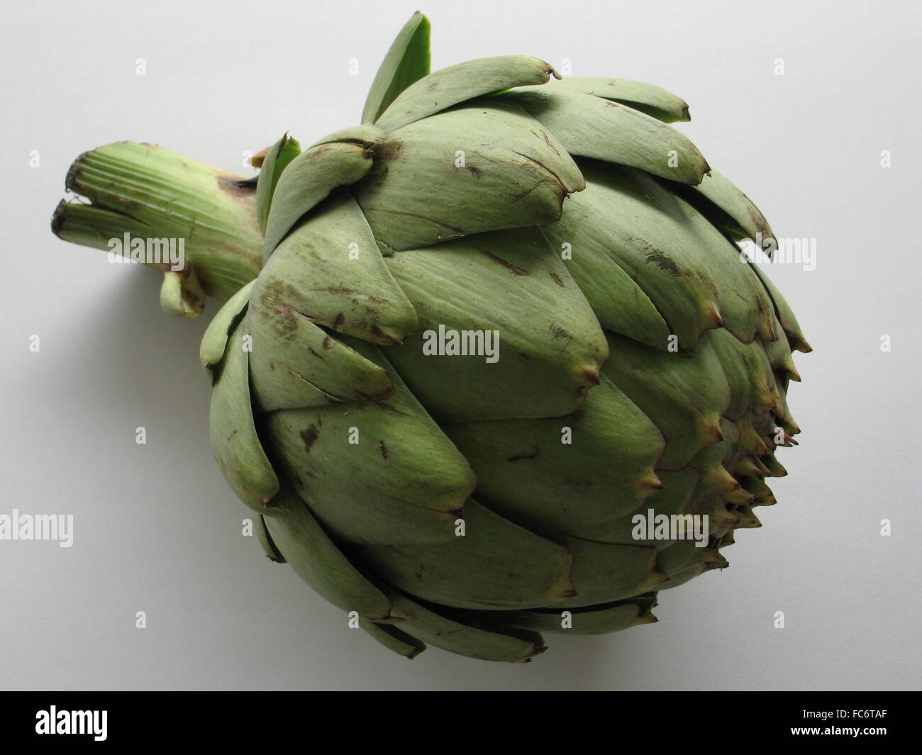 Artischocke, special healthy vegetables Stock Photo